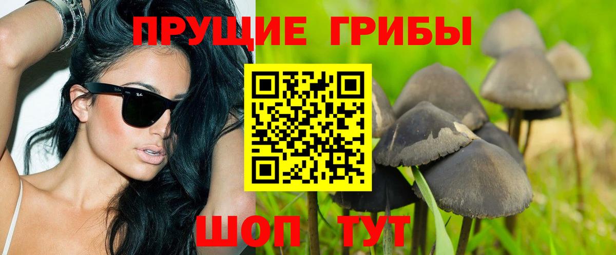 Галлюциногенные грибы мицелий Урус-Мартан